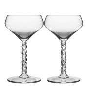 Orrefors - Carat Coupe Champagneglas 25 cl 2-pack