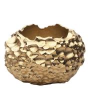 Skultuna - Opaque Objects Ljushållare Large Gold