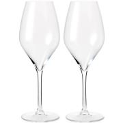 Rosendahl - Premium Champagneglas 37 cl 2-pack Klar