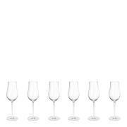 Georg Jensen - Sky Champagne Flute Glas 25 cl 6-pack