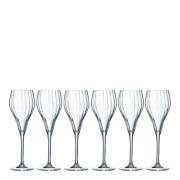 Chef & Sommelier - Symetrie Champagneglas 16 cl 6-pack Klar