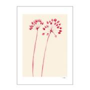 Poster & Frame - The Poster Club x Ana Frois poster 30x40 cm flowers 0...