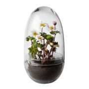 Design House Stockholm - Grow Växthus Medium 24 cm