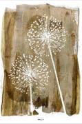 Malerifabrikken - Poster White Dandelion - Beige - Posters - Från Home...