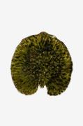 COSTA NOVA - Serveringsfat Alchemille Leaf - Grön - Uppläggningsfat - ...