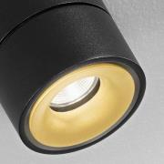 Egger Licht Egger Clippo Duo LED-spotlight, svart-guld 3 000 K