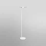 LEDVANCE SMART+ LEDVANCE SUN@Home Panan Floor, LED-golvlampa