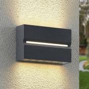 Prios Itarion LED-vägglampa för utomhusbruk, klar skärm