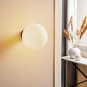 ALDEX Vägglampa Dione, väggfäste svart