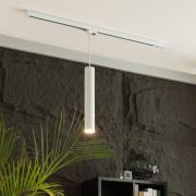 Arcchio Ejona LED-pendel för strömskenor vit 6/40 cm