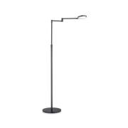 Knapstein LED-golvlampa Caro, 1-ljus, svart