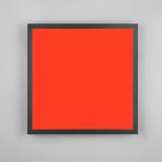 Reality Leuchten Beta LED-taklampa, längd 44 cm, svart, RGBW, CTT