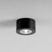 Egger Licht EGG DLS downlight Newton svart 30° 3.000 K Ø 6,3 cm IP54