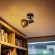 Argon Takspotlight Twist, vridbar, 1 lampa, svart