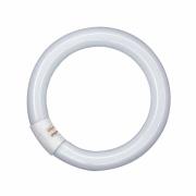 OSRAM G10q 32W 840 Lumilux T9C cirkelljusrör