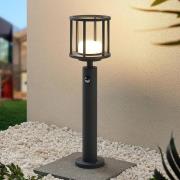 Lucande Berenike väglampa, 60 cm, rörelsevakt, GX53