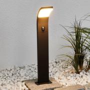 Lucande Timm - LED-gatlampa med rörelsesensor, 60 cm