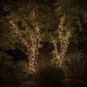 Twinkly RGBW ljusslingor, 250-fl. 20m transparent