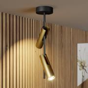 SIGMA Takspotlight Leda 2, 2 lampor, svart-guld