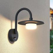 Lucande utomhusvägglampa Zamalino, 31 cm, antracit, sensor