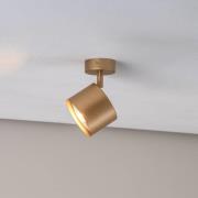 Argon Takspotlight Chloe justerbar 1 lampa, guld
