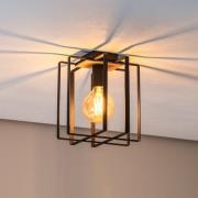 Envostar Fiete taklampa, 1 lampa