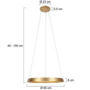 Steinhauer Ringlux LED-hänglampa, 1 lampa, guldfärgad, metall