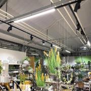 Deko-Light LED-lampa LINEAR PRO svart 930 60 cm 3-krets DALI