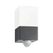 LCD Utomhusvägglampa Linus, grafit, sensor, stål, glas, E27