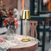 FH Lighting LED-bordslampa med batteri Viletto, mässingsfärgad, IP54