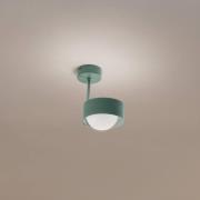 Argon Taklampa Mado, 1 lampa, grön