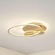 Lucande LED-taklampa Circulo, guld, 60 cm CCT, dimbar