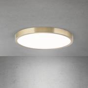 ORION LED-taklampa Disc, antik mässingsfärg, Ø 28 cm, CCT