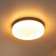 Lucide LED-badrumstaklampa Biskit, svart, Ø 23 cm, plast