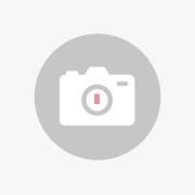 Wever & Ducré Lighting WEVER & DUCRÉ Ray 2.0 PAR16 hängande lampa alum...