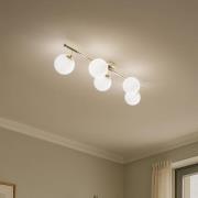 Domiluce Taklampa Drum, guldfärgad, glas, längd 80 cm, 5 lampor