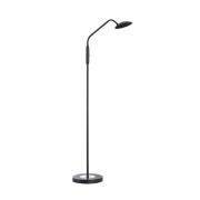 FISCHER & HONSEL LED-golvlampa Tallri, svart, höjd 135 cm, CCT, Touchd...