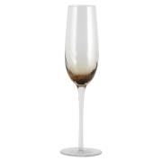 Nordal - GARO champagne glass, brown