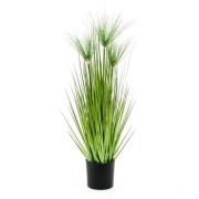 Emerald Konstväxt cyperus i kruka Haspan 75 cm