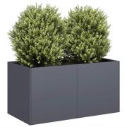 vidaXL Odlingslåda antracit 80x40x40 cm kallvalsat stål