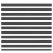 vidaXL Rullgardin zebra svart 165x100 cm tyg bredd 160,9cm polyester
