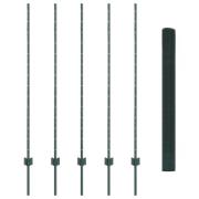 vidaXL Svetsat Tråd Stängsel med 5 U-poster Grön 1,4x10 m Stål