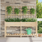 vidaXL Trädgårdsplanterare med Spaljé & Hylla 161x43x152 cm Massivt Ta...