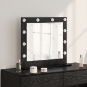 vidaXL Sminkspegel med LED-lampor Svart Ek 60x55x18 cm