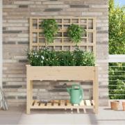 vidaXL Trädgårdsplanterare Beige 115 x 60.5 x 153 cm Massivt granträd