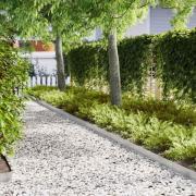 vidaXL Kant för gräsmatta 50 pcs Silver 100 x 0,05 x 20 cm