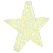 vidaXL 3D Stjärna med 50 LED-lampor Varmvit 55 x 53.5 x 10 cm Akryl