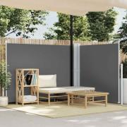vidaXL Infällbar sidomarkis antracit 140x1000 cm