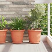 vidaXL Rund Blomkruka 6 pcs Murgrön Ø 21,5 x 2,5 cm Plast