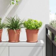 vidaXL Rund Blomkruka 6 pcs Murgrön Ø 19 x 16 cm Plast